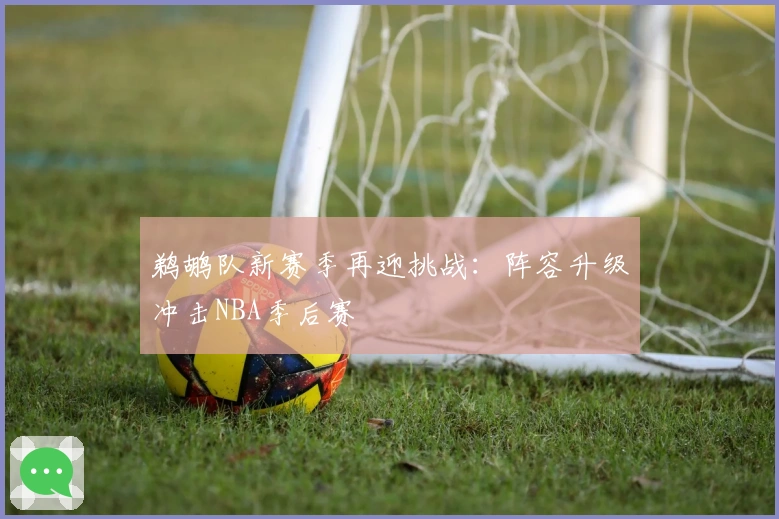 鹈鹕队新赛季再迎挑战：阵容升级冲击NBA季后赛