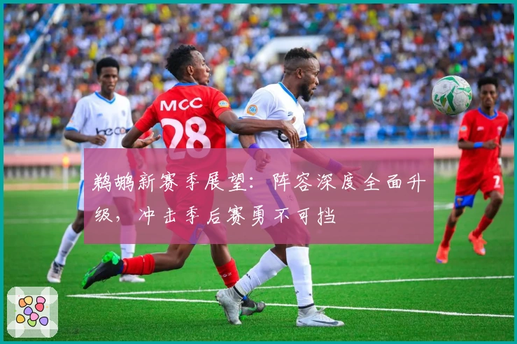 鹈鹕新赛季展望：阵容深度全面升级，冲击季后赛勇不可挡