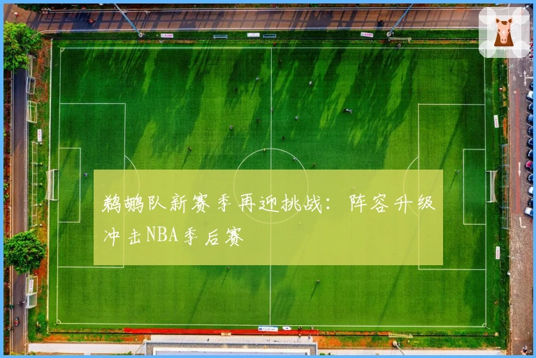 鹈鹕队新赛季再迎挑战：阵容升级冲击NBA季后赛